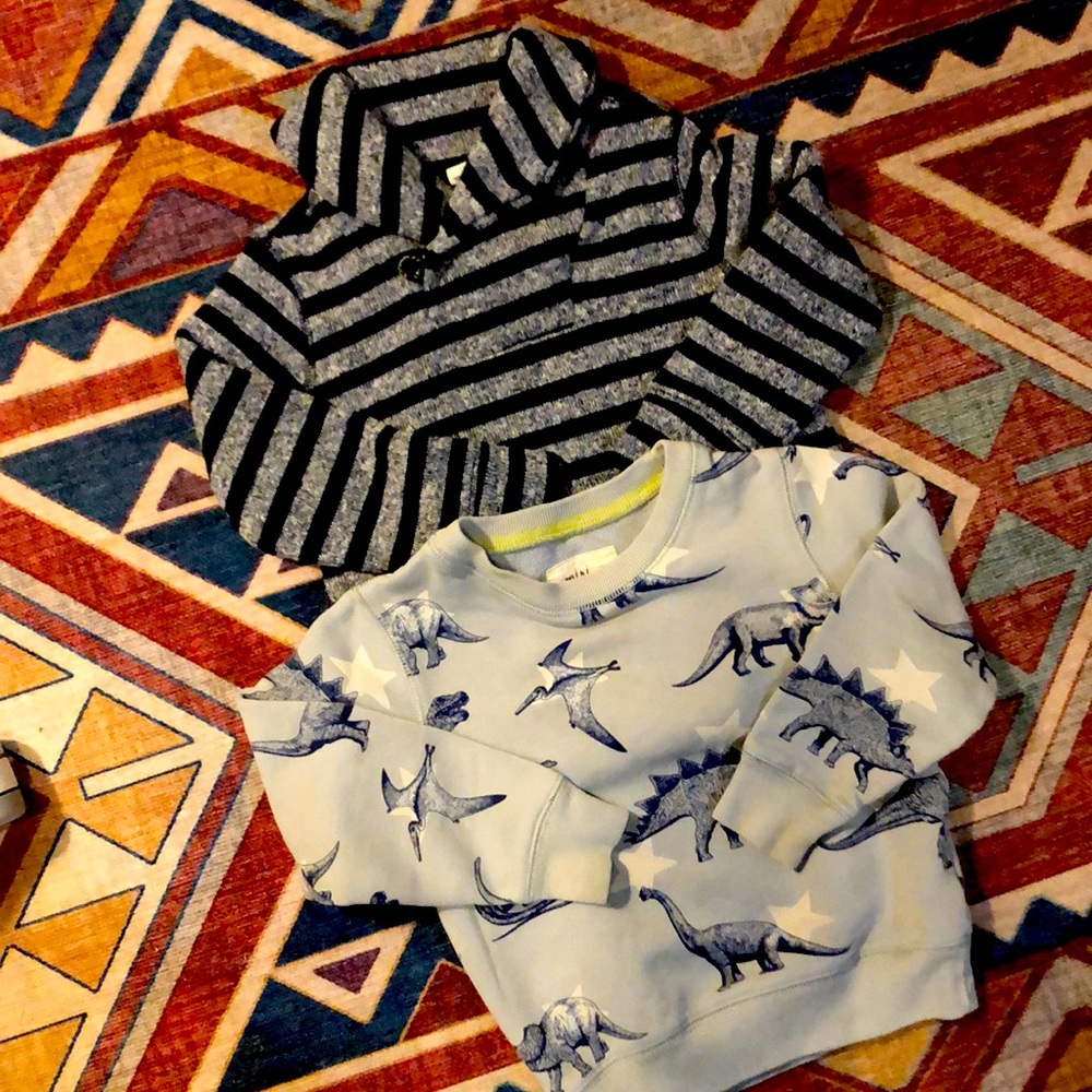 Sweater/ Sweatshirt Combo - Dinosaur and Stripes